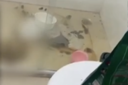 Polícia ouve mulher que abandonou cão encontrado morto em apartamento de Anápolis (Foto: Reprodução)