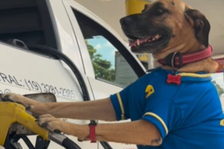Festa de Matuê arrecadou fundos para a ONG Laticão Aniversário de cachorro frentista tem evento para ajudar ONG de proteção animal em SP