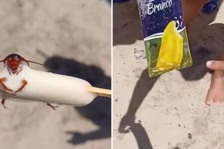 Banhista encontra barata em picolé comprado na praia do Recreio, no Rio; vídeo “É brinde pô, igual o tazo do salgadinho”, brincou internauta