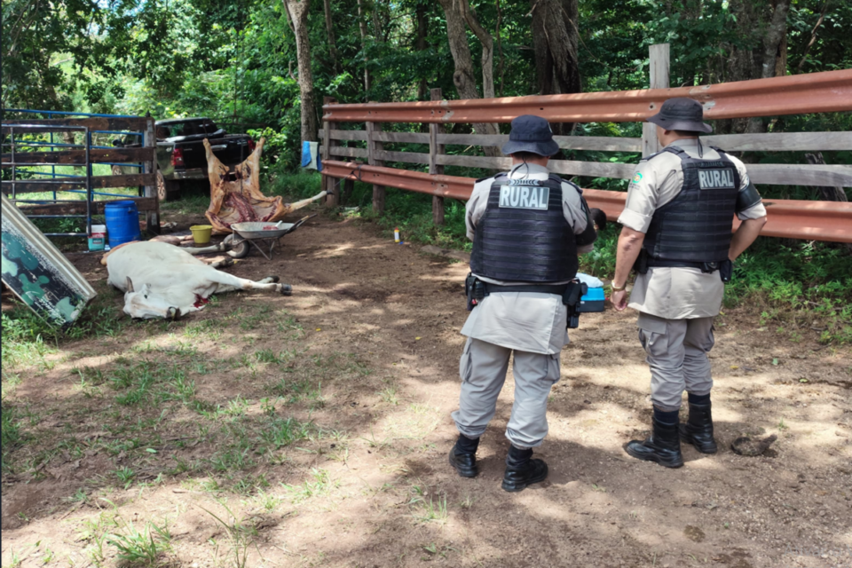 Polícia fecha abatedouro clandestino em Goiás (Foto: Divulgação)