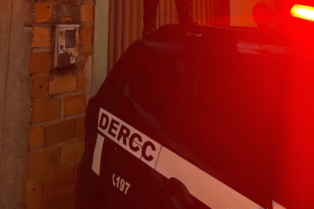 Preso suspeito de integrar rede de abuso e exploração de crianças e adolescentes (Foto: Divulgação PCGO)