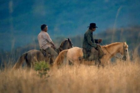 Oeste Outra Vez: filme gravado na Chapada dos Veadeiros e vencedor de festival estreia nos cinemas, menos em Goiânia