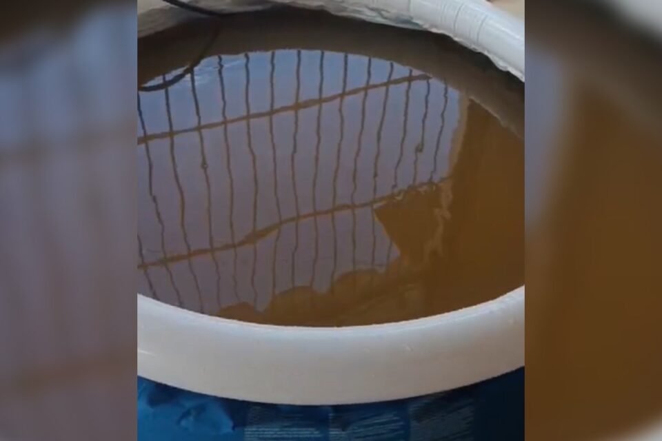 Água barrosa em torneira preocupa moradora da Vila Redenção em Goiânia