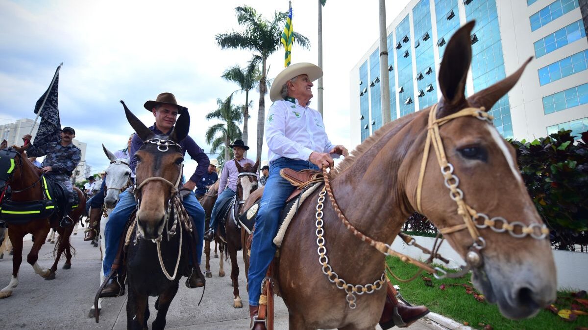 Governador Ronaldo Caiado participa de Cavalgada em Goiânia (Foto: Jucimar de Sousa)