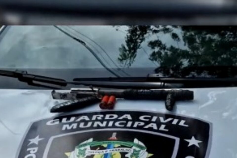 A imagem mostra a arma encontrada pelos agentes
