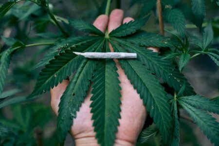 Homem registra BO após não receber maconha e diz que traficante agiu de má-fé em GO