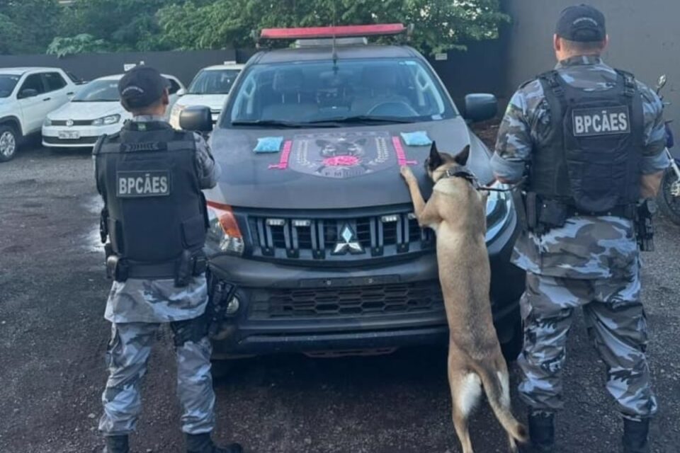 Cadela policial encontra comprimidos de ecstasy escondidos em Air Fryer, em Jataí