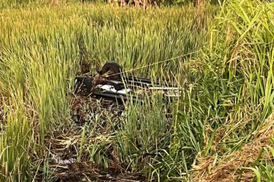 Imagem colorida mostra uma caminhonete virada de cabeça para baixo em uma área de mato alto.