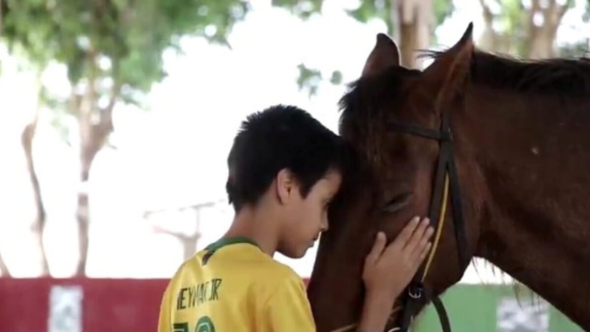 A imagem mostra uma criança acariciando um cavalo durante a terapia
