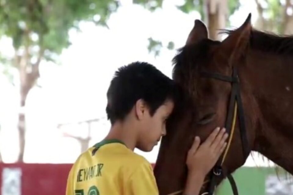 A imagem mostra uma criança acariciando um cavalo durante a terapia