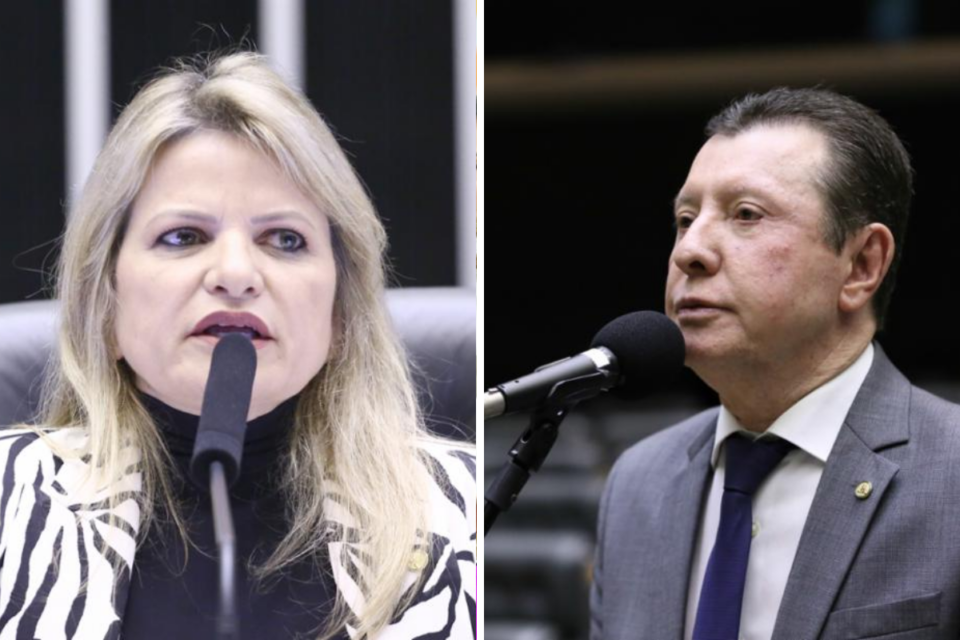 flavia-morais-ze-nelto