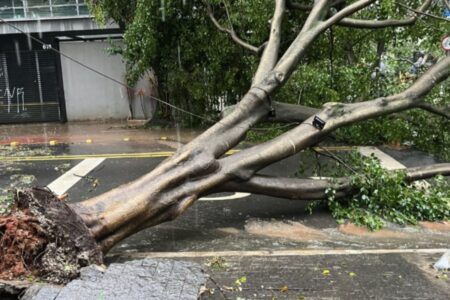 Chuva causou estragos em São Paulo (Foto: Reprodução)