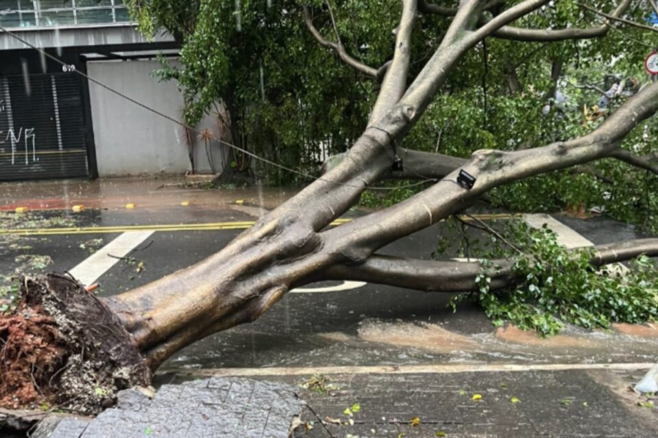 Chuva causou estragos em São Paulo (Foto: Reprodução)
