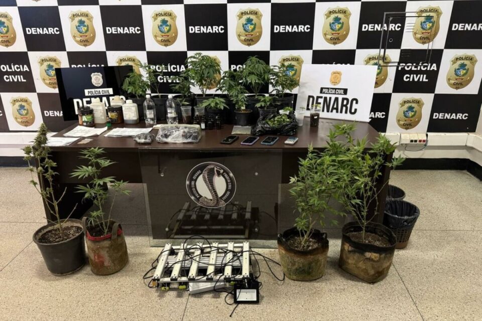 A imagem mostra os itens apreendidos