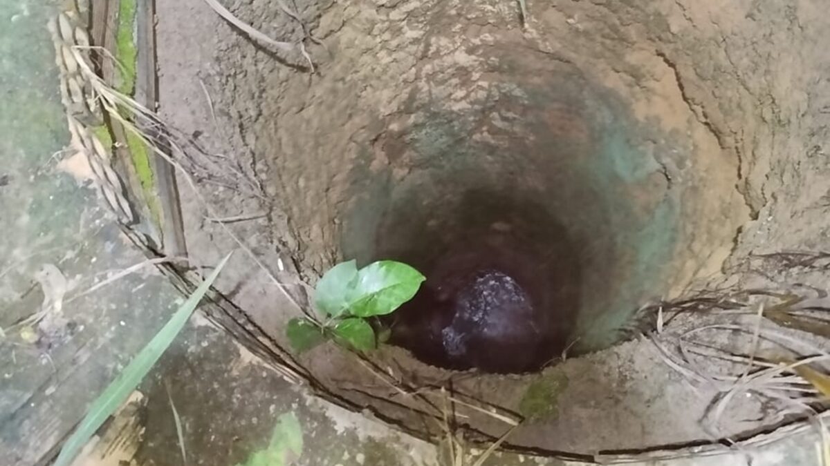 Idoso de 72 anos é resgatado após 9 horas dentro de cisterna em Aruanã Bombeiros desceram aproximadamente 13 metros de profundidade