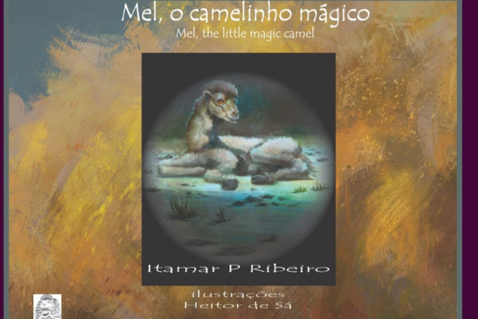 Imagem da capa do livro "Mel, o camelinho mágico"