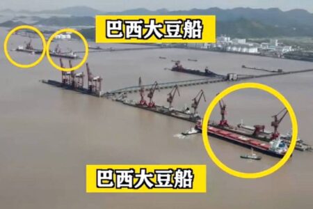 China mostra chegada de soja brasileira (Foto: Reprodução)