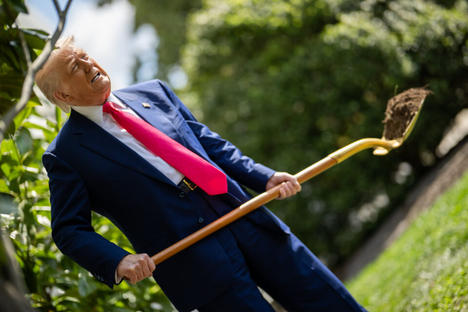 Presidente Donald Trump (Foto: White House)