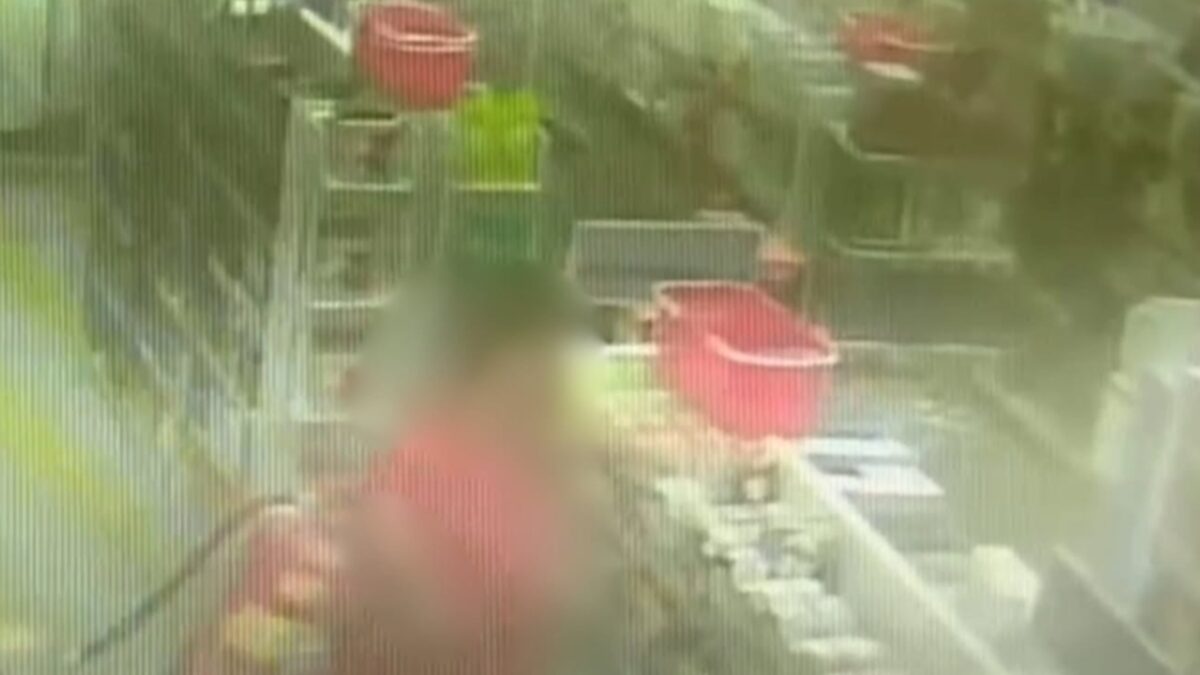 Homem "alterado" ataca funcionário de farmácia com extintor, em Jataí