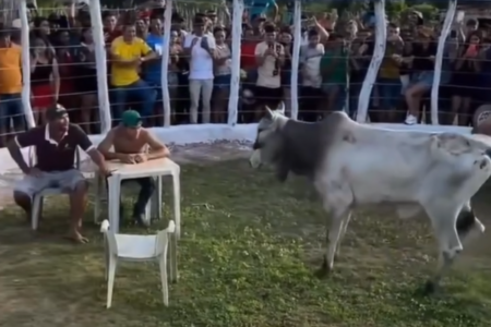 Desafio com boi bravo na arena viraliza na internet (Foto: Reprodução)