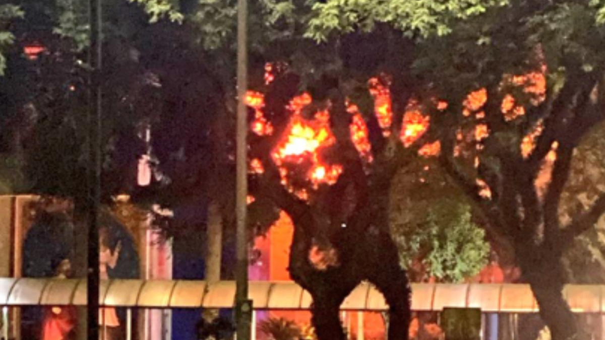 Incêndio na PUC do Paraná (Foto: redes sociais)