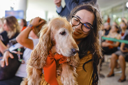 SinPatinhas foi criado para registrar cães e gatos em um banco de dados nacional (Foto: Palácio do Planalto)
