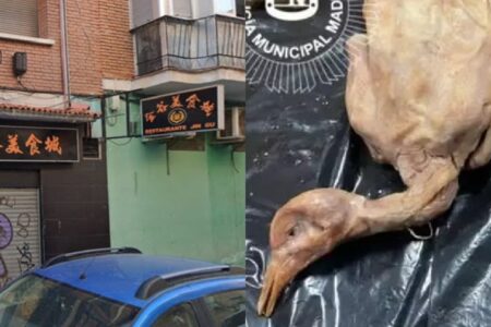 Restaurante é fechado após servir pombos da rua como carne de pato Polícia encontrou 300 quilos de comida estragada, baratas
