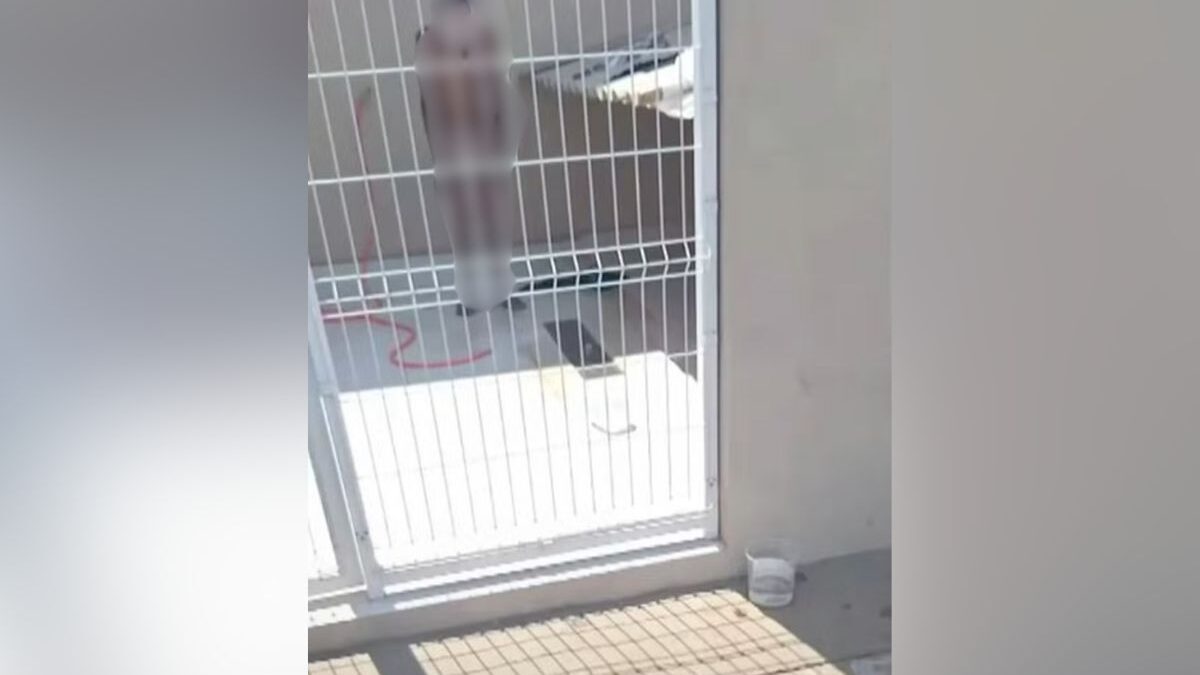 Homem nu preso em canil de Pouso Alegre (Foto: Reprodução)