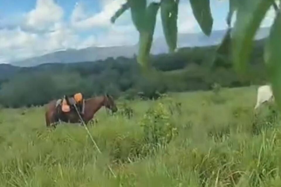 egua x vaqueiro