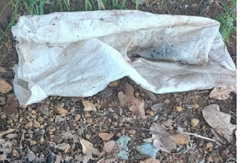 Homem é preso suspeito de matar filhote de cachorro a marretadas em Vianópolis