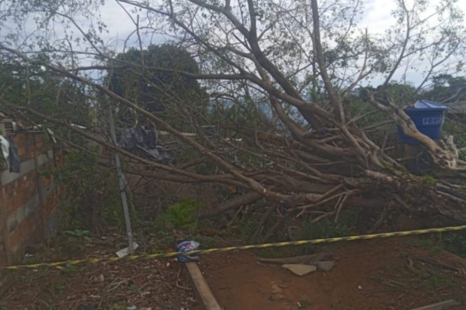 Em 24h chuvas causam estragos na cidade de Anápolis