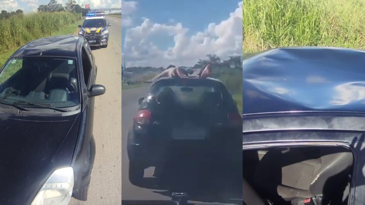 Montagem mostra passageiro viajando no teto de carro a 100 km/h, em Goiás