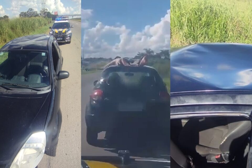Montagem mostra passageiro viajando no teto de carro a 100 km/h, em Goiás