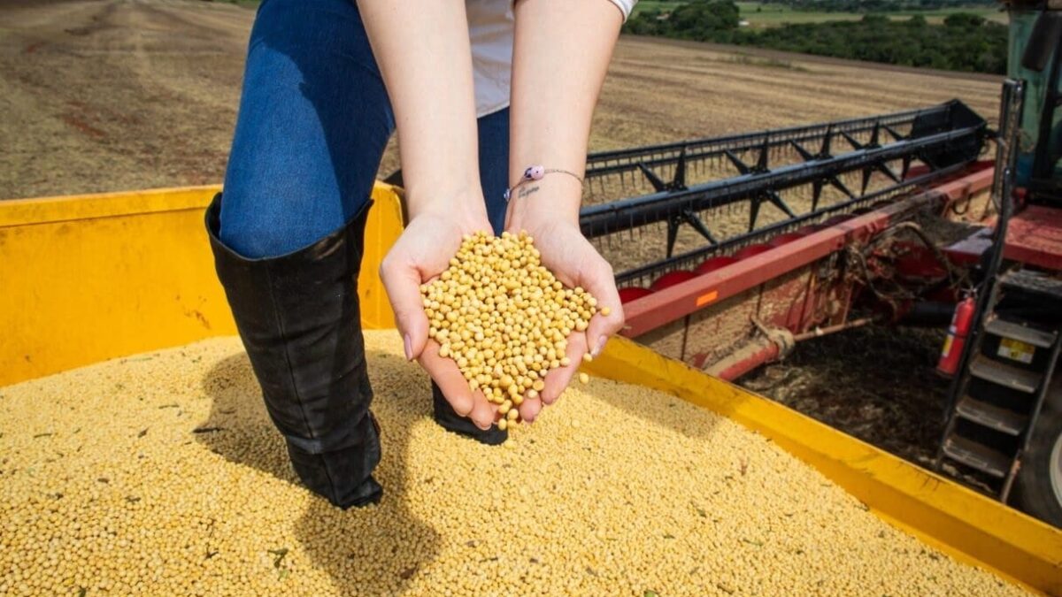 Segundo o IBGE, o desempenho positivo na agropecuária foi impulsionado pelo aumento da produção de grãos no estado, especialmente soja e milho.