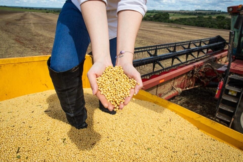 Segundo o IBGE, o desempenho positivo na agropecuária foi impulsionado pelo aumento da produção de grãos no estado, especialmente soja e milho.
