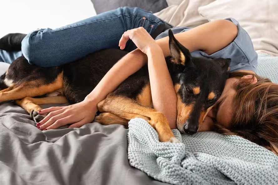 benefícios para a saúde mental em dormir com seu bichinho de estimação comportamento pode mostrar como uma pessoa se relaciona