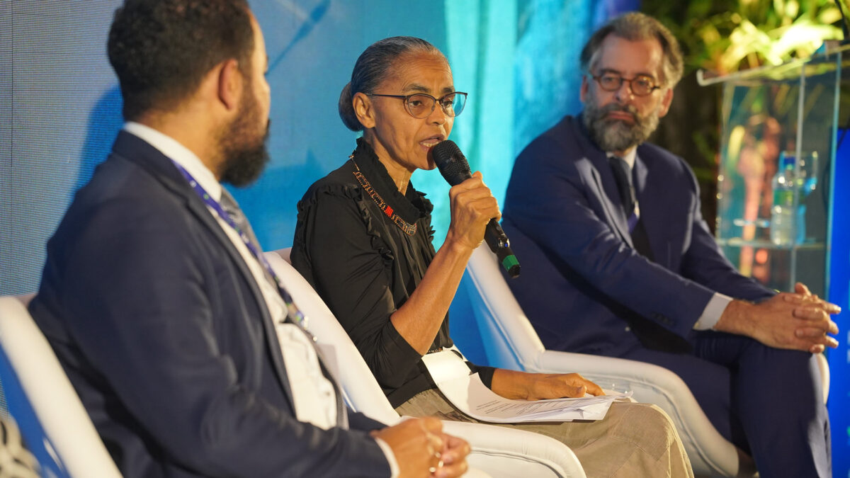 Ministra do Meio Ambiente, Marina Silva (Foto: Divulgação)