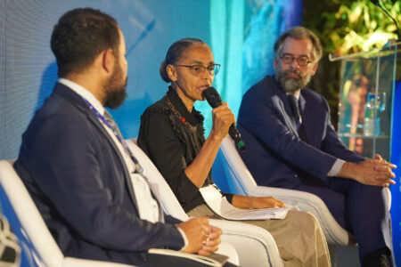 Ministra do Meio Ambiente, Marina Silva (Foto: Divulgação)