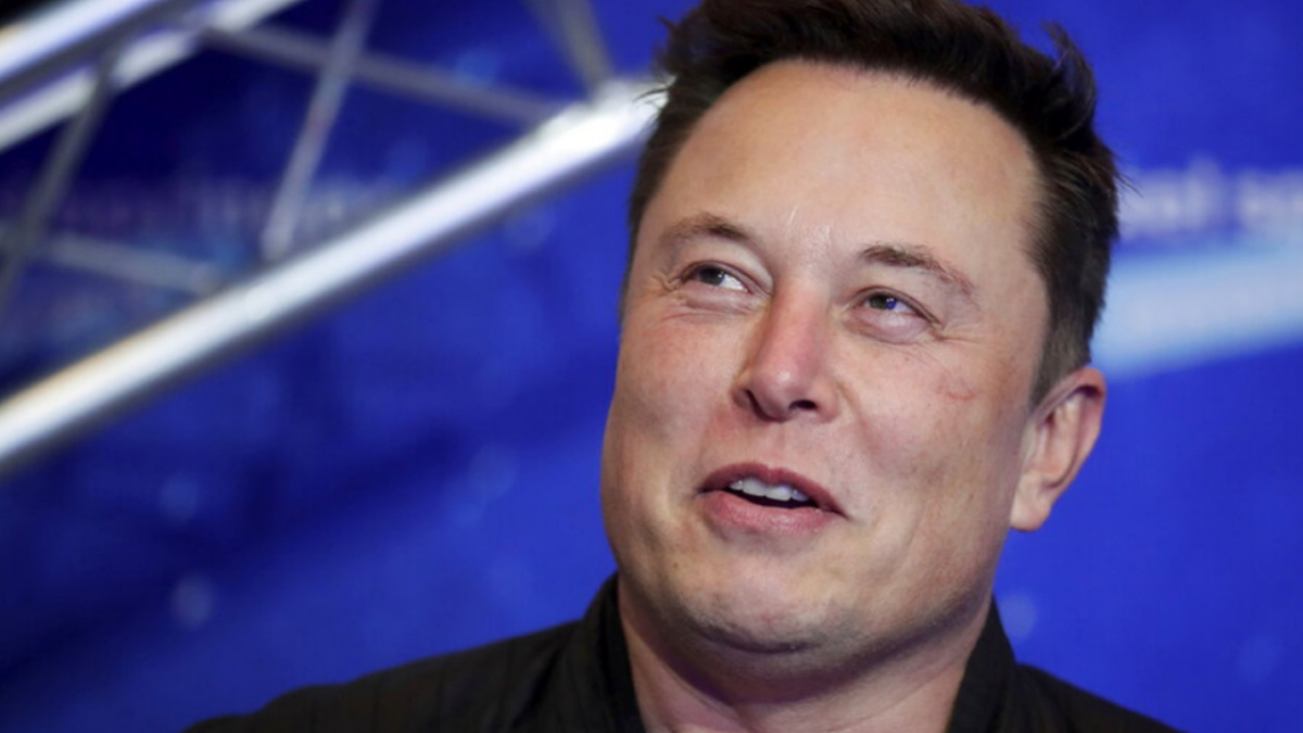 Elon Musk, em guerra com Peter Navarro (Foto: Divulgação)