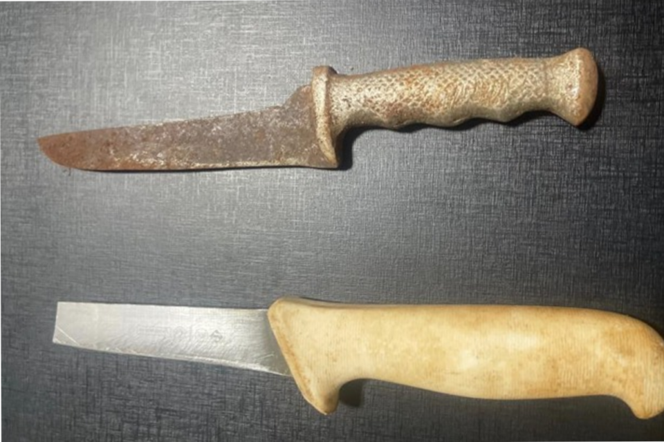 Homens armados com facas ameaçam mãe e filha de abuso sexual em Rio Verde 