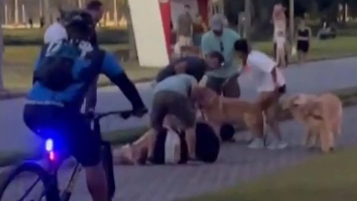 Pitbull ataca homem que tentava proteger a esposa grávida Santa Catarina Jovem conteve o animal e populares improvisaram focinheira; vídeo