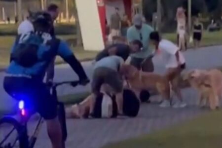 Pitbull ataca homem que tentava proteger a esposa grávida Santa Catarina Jovem conteve o animal e populares improvisaram focinheira; vídeo