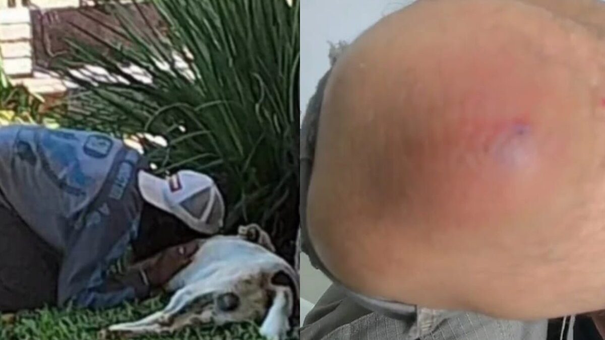 Policial mata cachorro a tiros em praça de Pirenópolis; PM alega ataque do animal