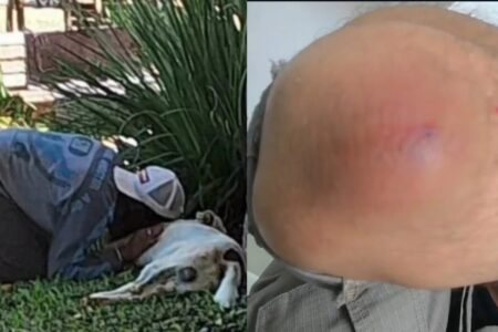 Policial mata cachorro a tiros em praça de Pirenópolis; PM alega ataque do animal