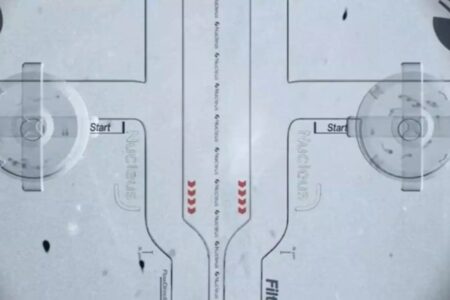 Primeira corrida de espermatozoides é realizada; vídeo Competidores correram em uma pista projetada para simular sistema reprodutivo feminino