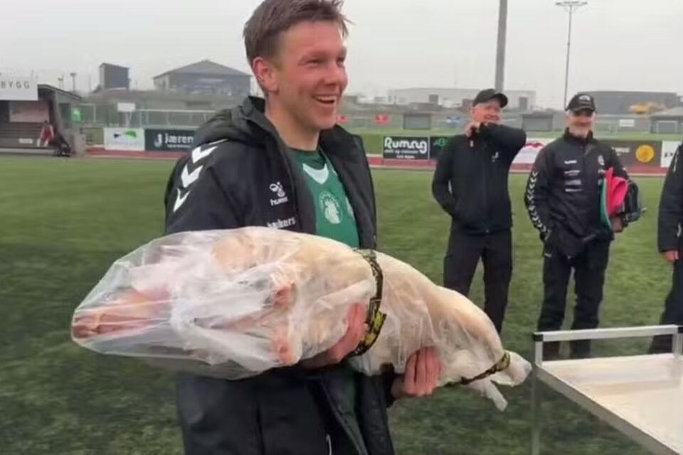 Jogador ganhou um leitão na Noruega, após marcar três gols em jogo da 5ª Divisão