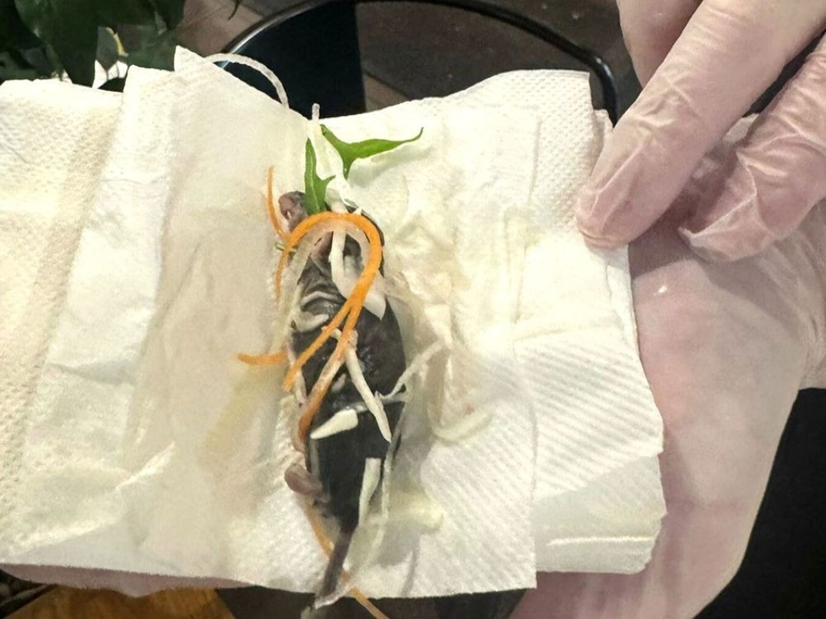 Restaurante se pronuncia após servir rato em salada para grávida Incidente ocorreu em estabelecimento de culinária japonesa na Austrália