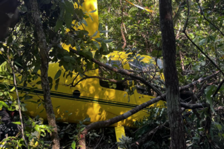Helicóptero que fez pouso forçado em Pirenópolis (Foto: Reprodução)