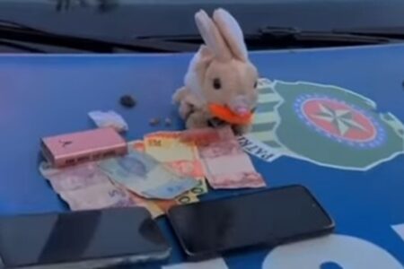 Polícia apreendeu porções de crack, maconha e cocaína Polícia prende traficantes que escondiam drogas em 'coelho da páscoa' em Caldas Novas