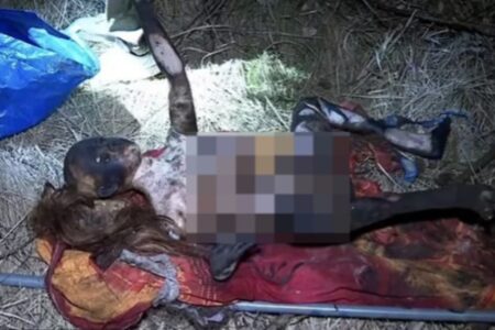 Policiais passam 5 horas procurando corpo em floresta e descobrem que era uma boneca sexual Equipe de busca incluía investigadores